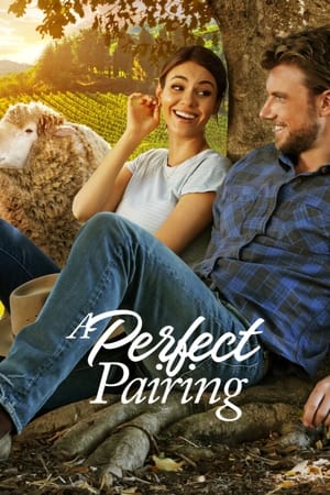 A Perfect Pairing (2022) Hindi Dual Audio HDRip | Hindi Dubbed Movie – 480p