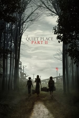 A Quiet Place Part II (2021) Hindi Dual Audio | Hindi Dubbed Movie HDRip [1.1GB]