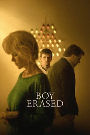 Boy Erased (2018) Hindi Dual Audio | Hindi Dubbed Movie BluRay [900MB]