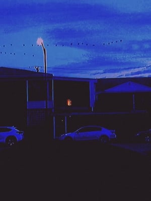 Break (2019) Hindi Dual Audio | Hindi Dubbed Movie BluRay 300MB