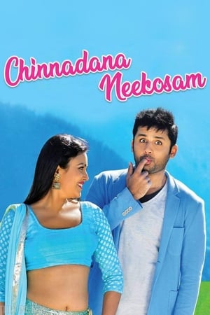 Chinnadana Nee Kosam 2014 Hindi Dual Audio | Hindi Dubbed Movie BluRay 400MB