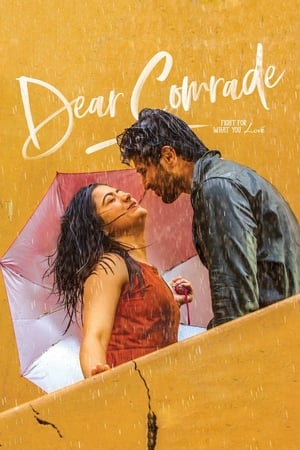 Dear Comrade 2019 (Hindi -Telugu) Dual Audio | Hindi Dubbed Movie UnCut HDRip [1.4GB]