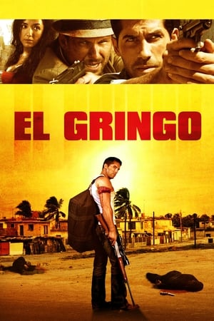 El Gringo (2012) Hindi Dual Audio | Hindi Dubbed Movie HDRip 300MB