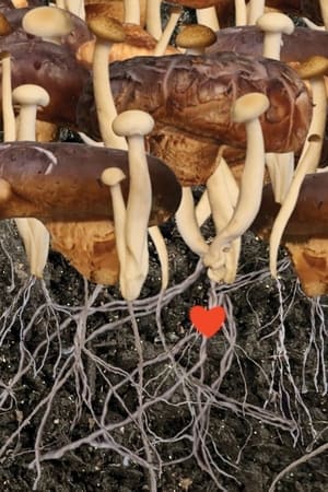 Heaven (2022) Hindi Movie HDRip | Hindi Dubbed Movie – 480p