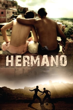 Hermano (2010) Hindi Dual Audio | Hindi Dubbed Movie Web-DL [1.2GB]