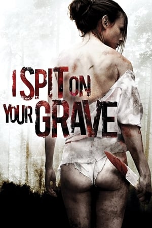 I Spit on Your Grave 2010 Hindi Dual Audio | Hindi Dubbed Movie BluRay 330MB