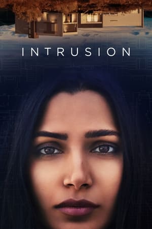 Intrusion (2021) Hindi Dual Audio | Hindi Dubbed Movie HDRip [950MB]