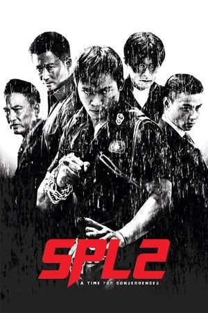 Kill Zone 2 (2015) Hindi Dual Audio | Hindi Dubbed Movie BluRay [1.5GB] ESubs