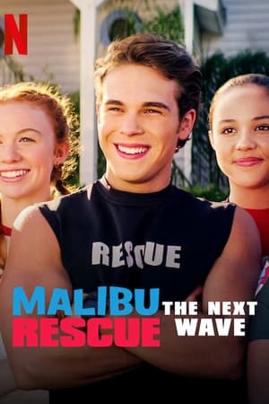 Malibu Rescue: The Next Wave (2020) Hindi Dual Audio | Hindi Dubbed Movie Web-DL [640MB]