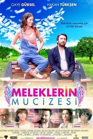 Meleklerin mucizesi (2014) Hindi Dual Audio | Hindi Dubbed Movie Web-DL [600MB]