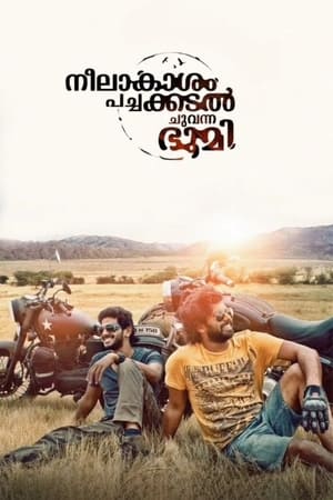 Neelakasham Pachakadal Chuvanna Bhoomi (2013) Hindi Dubbed | Hindi Dubbed Movie HDRip 450MB