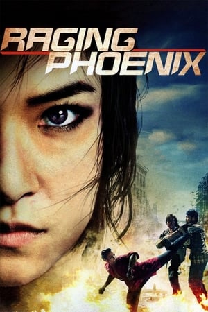 Raging Phoenix (2009) Hindi Dual Audio | Hindi Dubbed Movie HDRip [1GB]