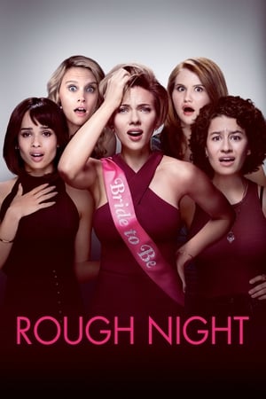Rough Night (2017) Hindi Dual Audio | Hindi Dubbed Movie BluRay [800MB]