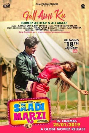 Saadi Marzi (2019) Punjabi Movie | Hindi Dubbed Movie HDRip x264 [930MB]