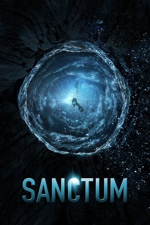 Sanctum (2011) Hindi Dual Audio | Hindi Dubbed Movie BluRay 300MB