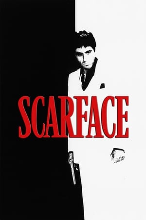 Scarface (1983) Dual Audio Hindi | Hindi Dubbed Movie BluRay 500MB