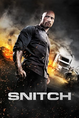 Snitch (2013) Hindi Dual Audio | Hindi Dubbed Movie BluRay [930MB]