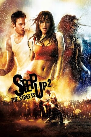 Step Up 2 The Streets 2008 Hindi Dual Audio | Hindi Dubbed Movie BluRay 300MB