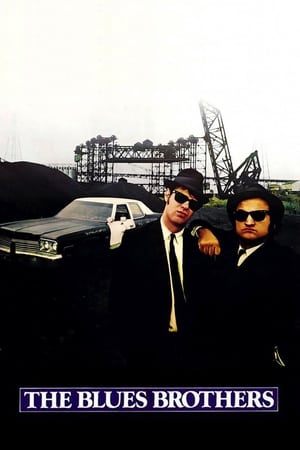 The Blues Brothers (1980) Hindi Dual Audio | Hindi Dubbed Movie BluRay 450MB ESubs