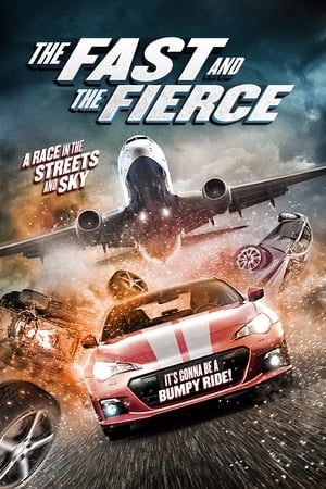 The Fast and the Fierce 2017 Hindi Dual Audio | Hindi Dubbed Movie BluRay 300MB