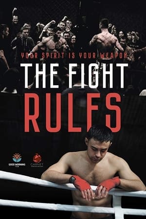 The Fight Rules 2017 Hindi Dual Audio | Hindi Dubbed Movie WebRip 260MB