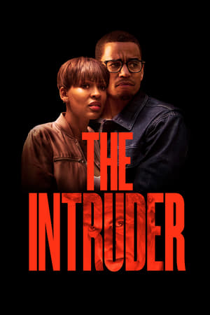 The Intruder (2019) Hindi Dual Audio | Hindi Dubbed Movie Web-DL [960MB]