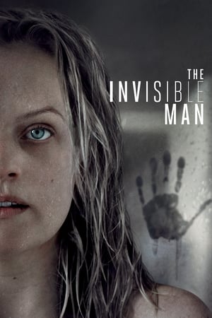 The Invisible Man (2020) Hindi (ORG) Dual Audio | Hindi Dubbed Movie BluRay [1GB]