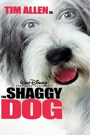 The Shaggy Dog (2006) Hindi Dual Audio | Hindi Dubbed Movie BluRay [950MB]