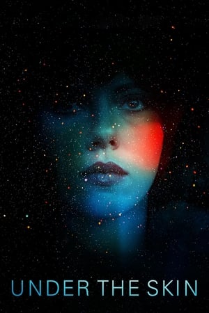 Under the Skin 2013 Hindi Dual Audio | Hindi Dubbed Movie BluRay [850MB]