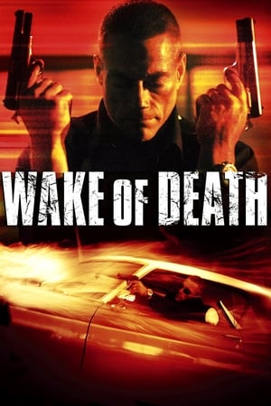 Wake of Death 2004 Hindi Dual Audio | Hindi Dubbed Movie BluRay [1GB]