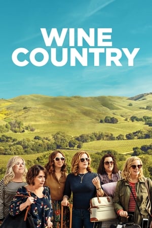 Wine Country (2019) Hindi Dual Audio | Hindi Dubbed Movie Web-DL [1GB]