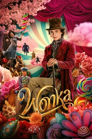 Wonka 2023 Hindi (HQ-Dub) Dual Audio HDTS | Hindi Dubbed Movie – 480p