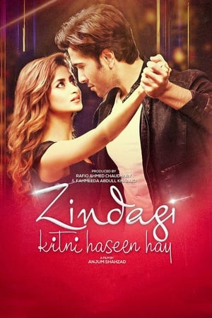 Zindagi Kitni Haseen Hay (2016) Pakistani Movie | Hindi Dubbed Movie HDRip Download